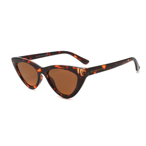 Sunglasses: Vogue Vertica