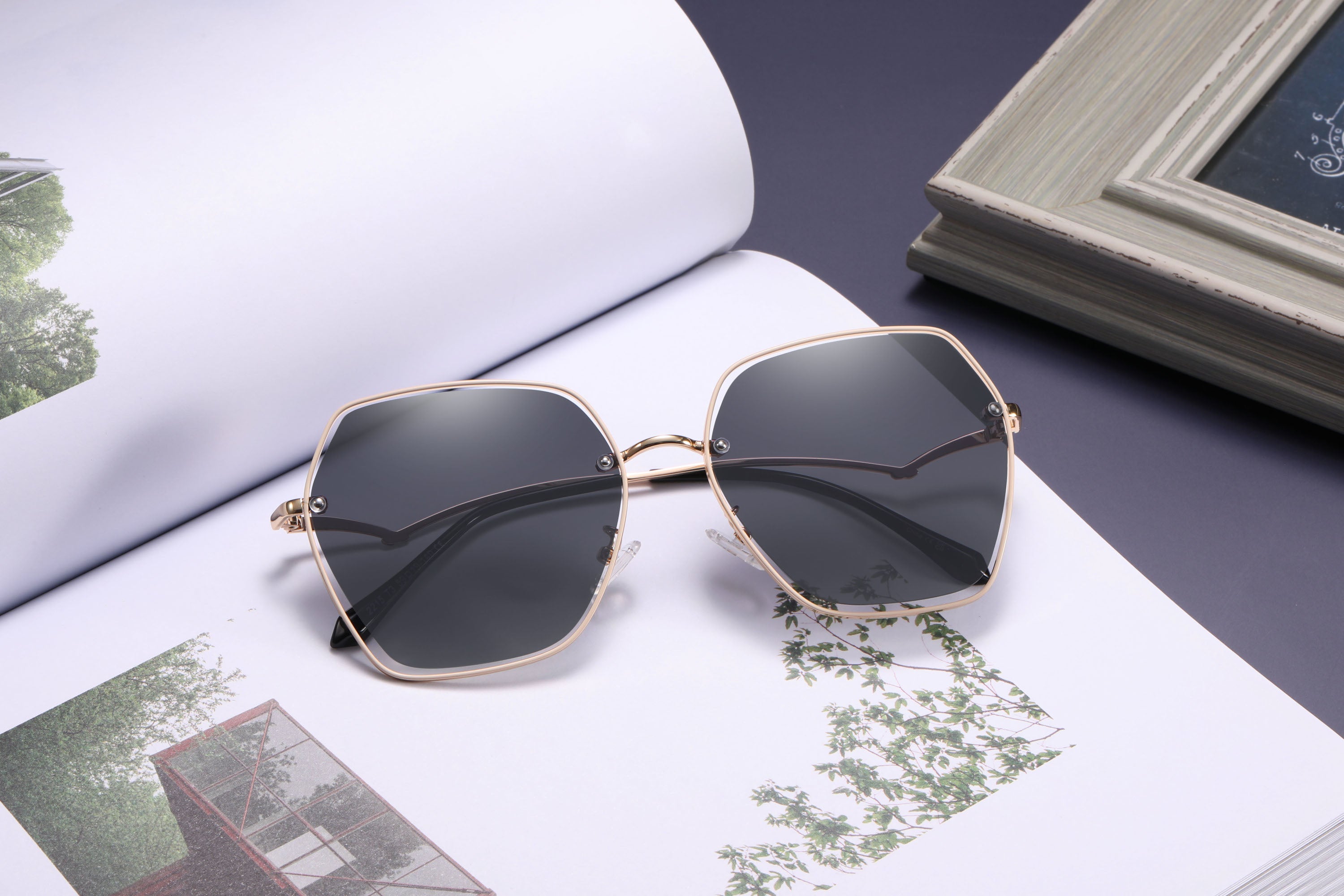 Sunglasses: Papillon Polarised