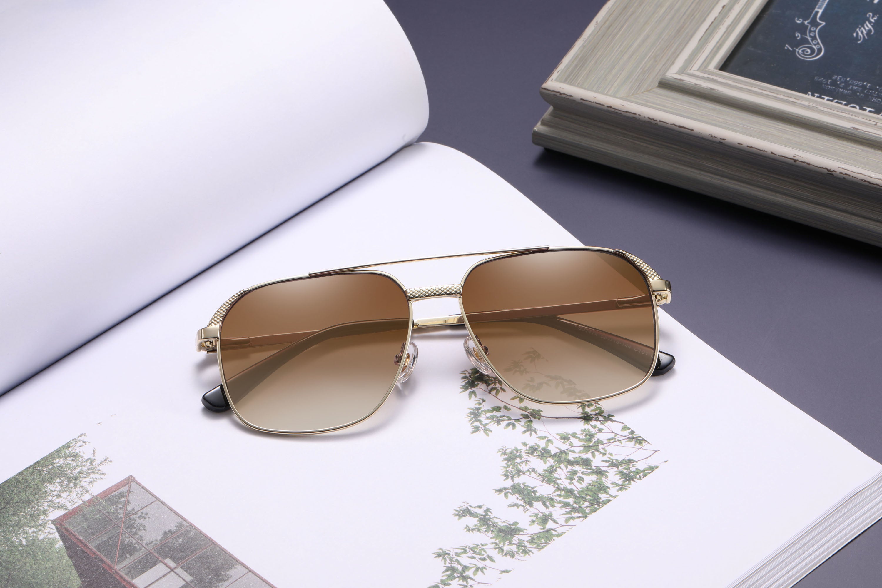 Sunglasses: Posa