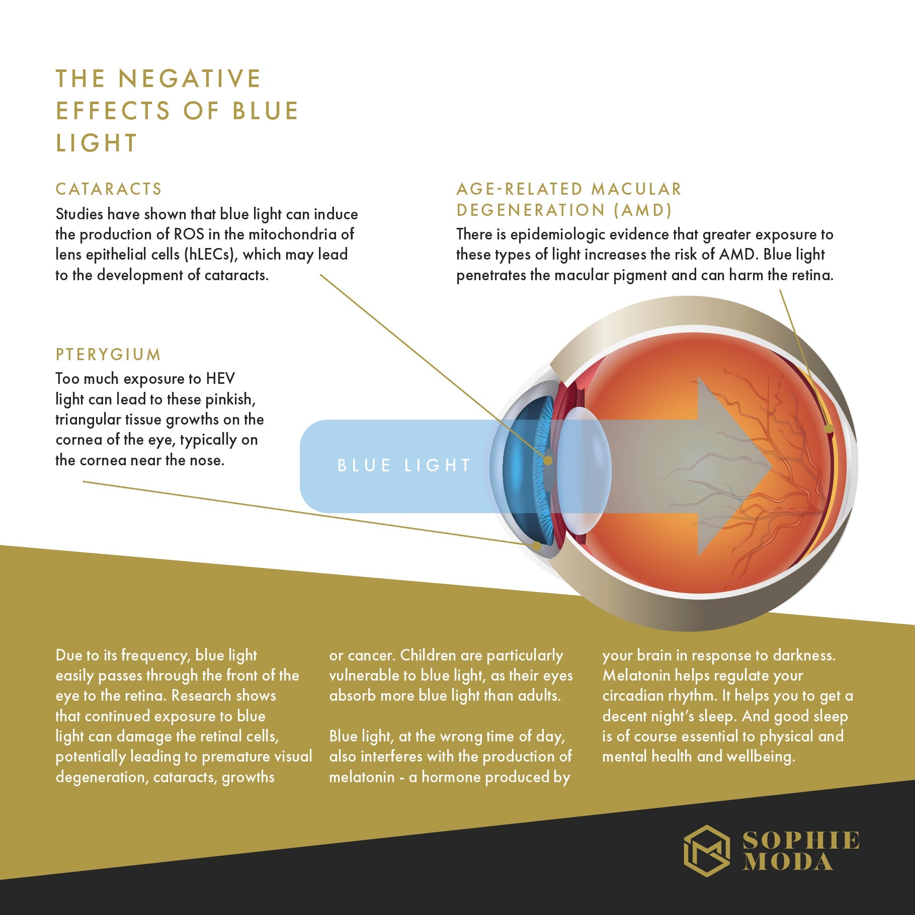 Reading Glasses with Anti-Blue Light lenses - La Moda